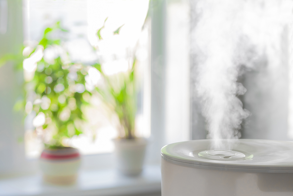 An image of a humidifier in the foreground and houseplants in the background to represent our expert air quality services in mount airy md and surrounding areas
